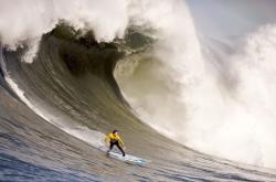 尤文图斯带队取胜！，哈兰德重要时刻败北引发球迷热议(尤文图斯球迷吧)